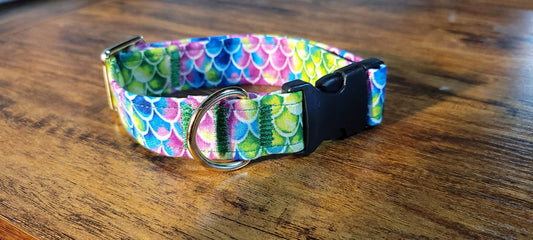 1 inch Multicolor Scales Collar